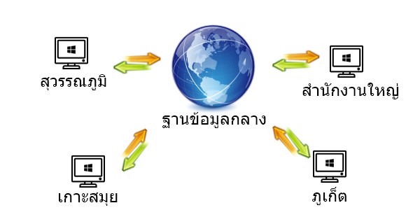 โปรแกรมร้านโชห่วย EasyPOS รองรับระบบเน็ตเวิร์ค หรือ ระบบสาขาย่อย